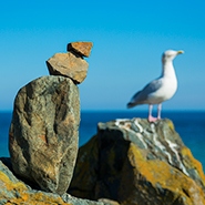 Sculpture and seagull